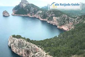 Formentor und Alcudia Markt