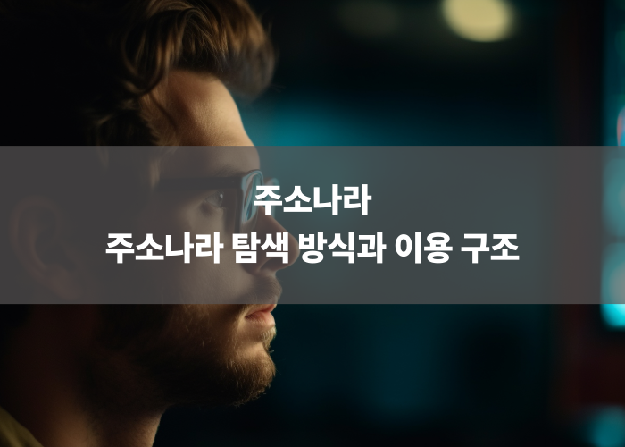 주소나라 탐색 방식과 이용 구조