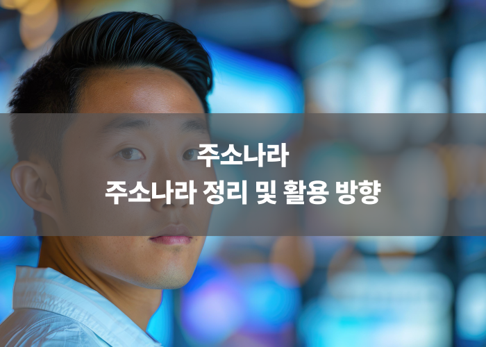 주소나라 정리 및 활용 방향